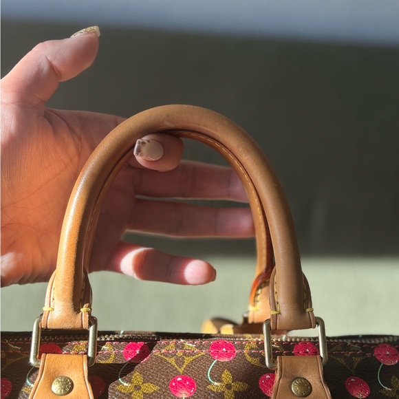 Louis Vuitton Cherry Speedy - Picture 5 of 12